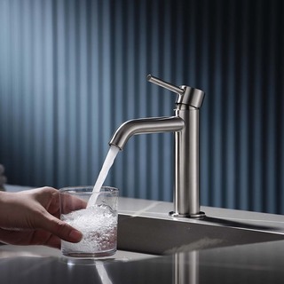 Pesuallashana Prima Matala Ruostumaton Harjattu