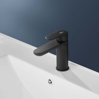 Pesuallashana Lyster Musta